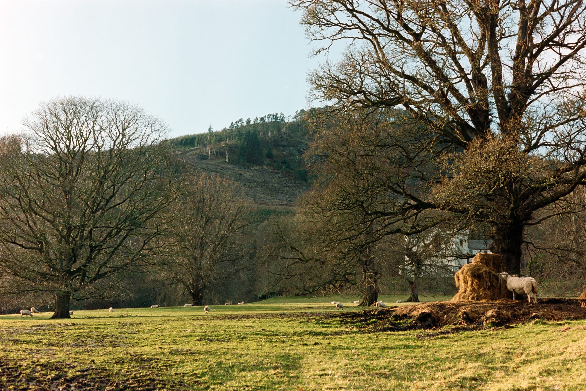 Perthshire, March, Kodak cine film