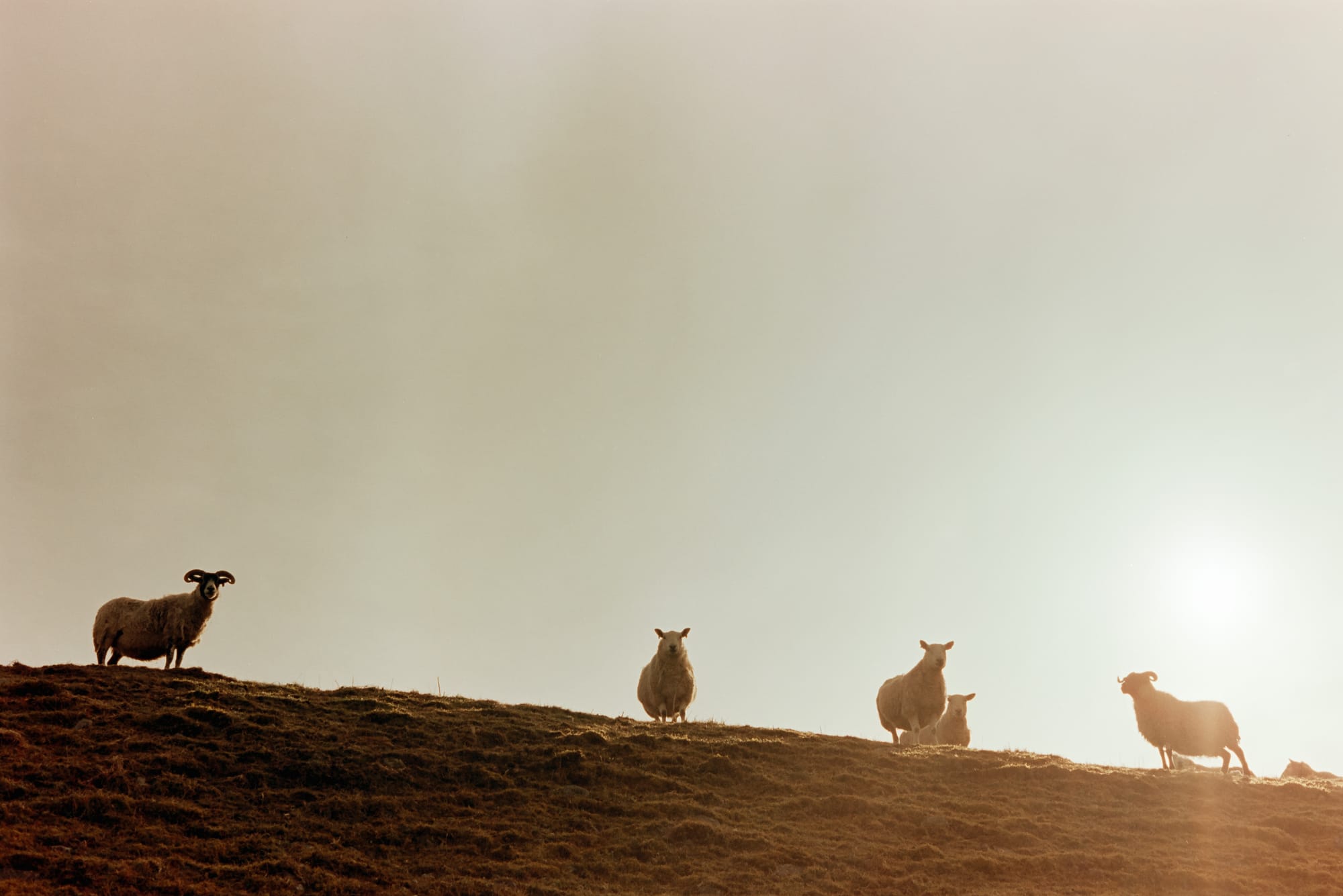 Perthshire, March, Kodak cine film