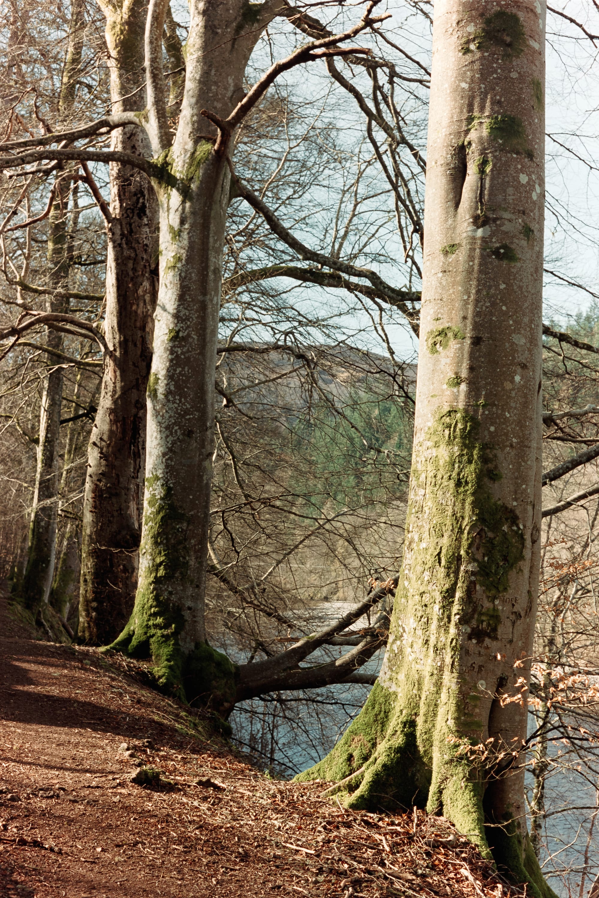 Perthshire, March, Kodak cine film