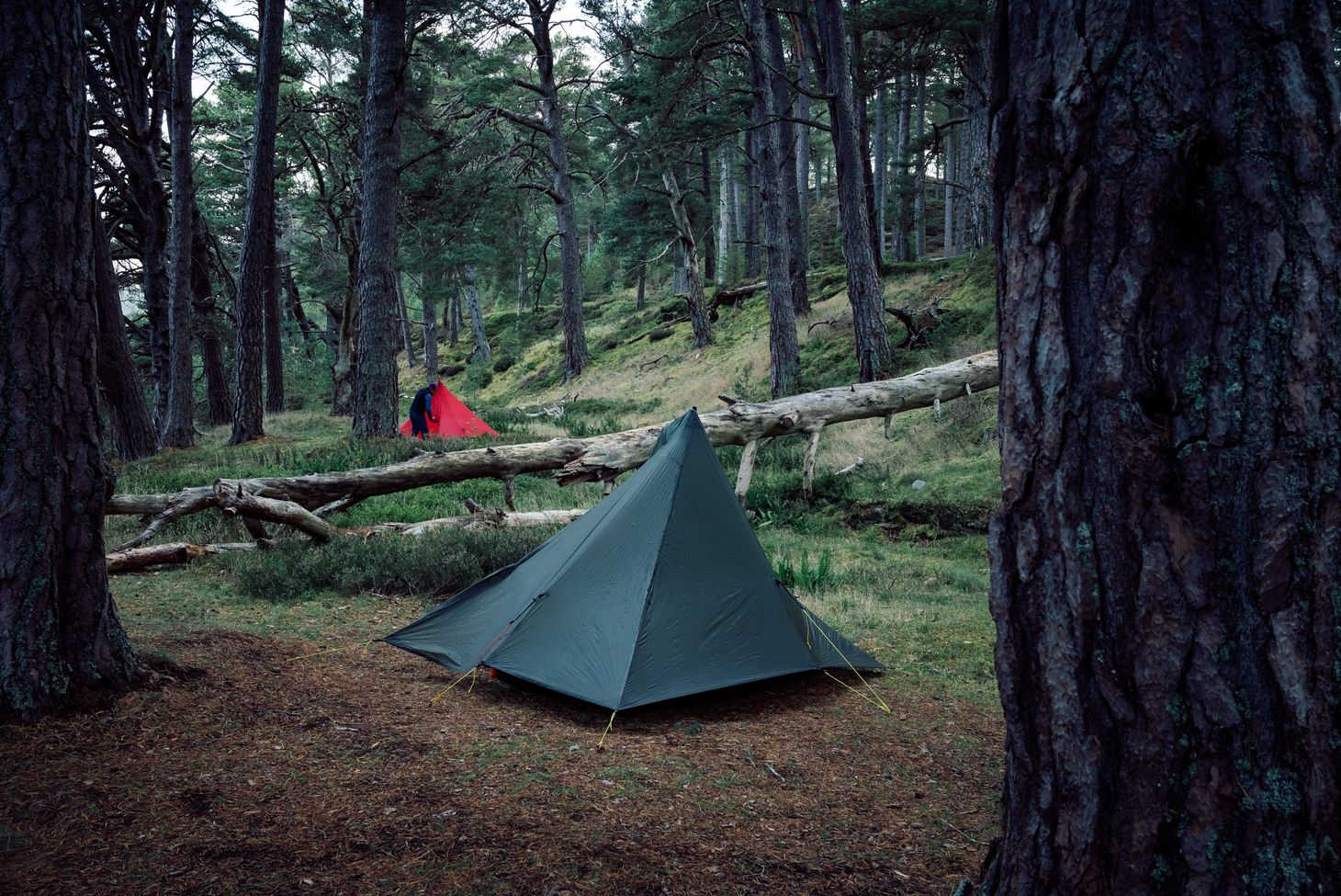 An overnighter in the Cairngorms with David Lintern
