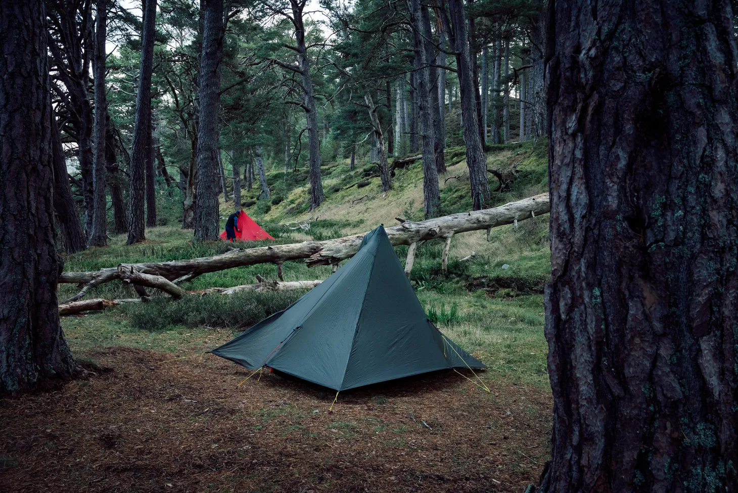 An overnighter in the Cairngorms with David Lintern