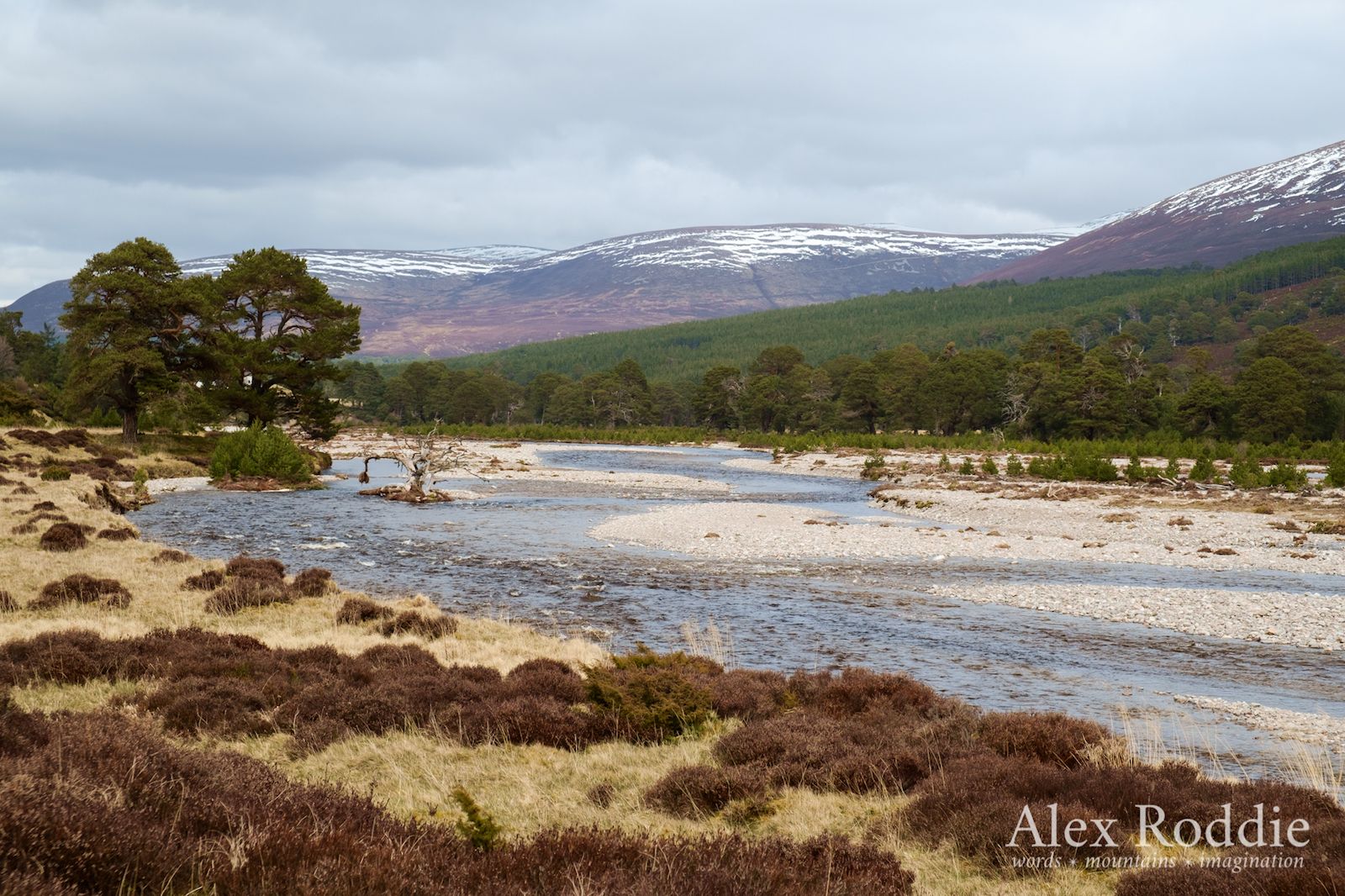 Glen Feshie