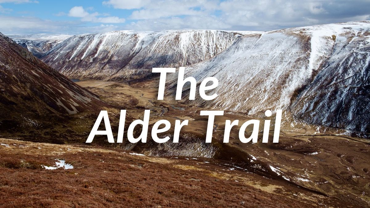The Alder Trail