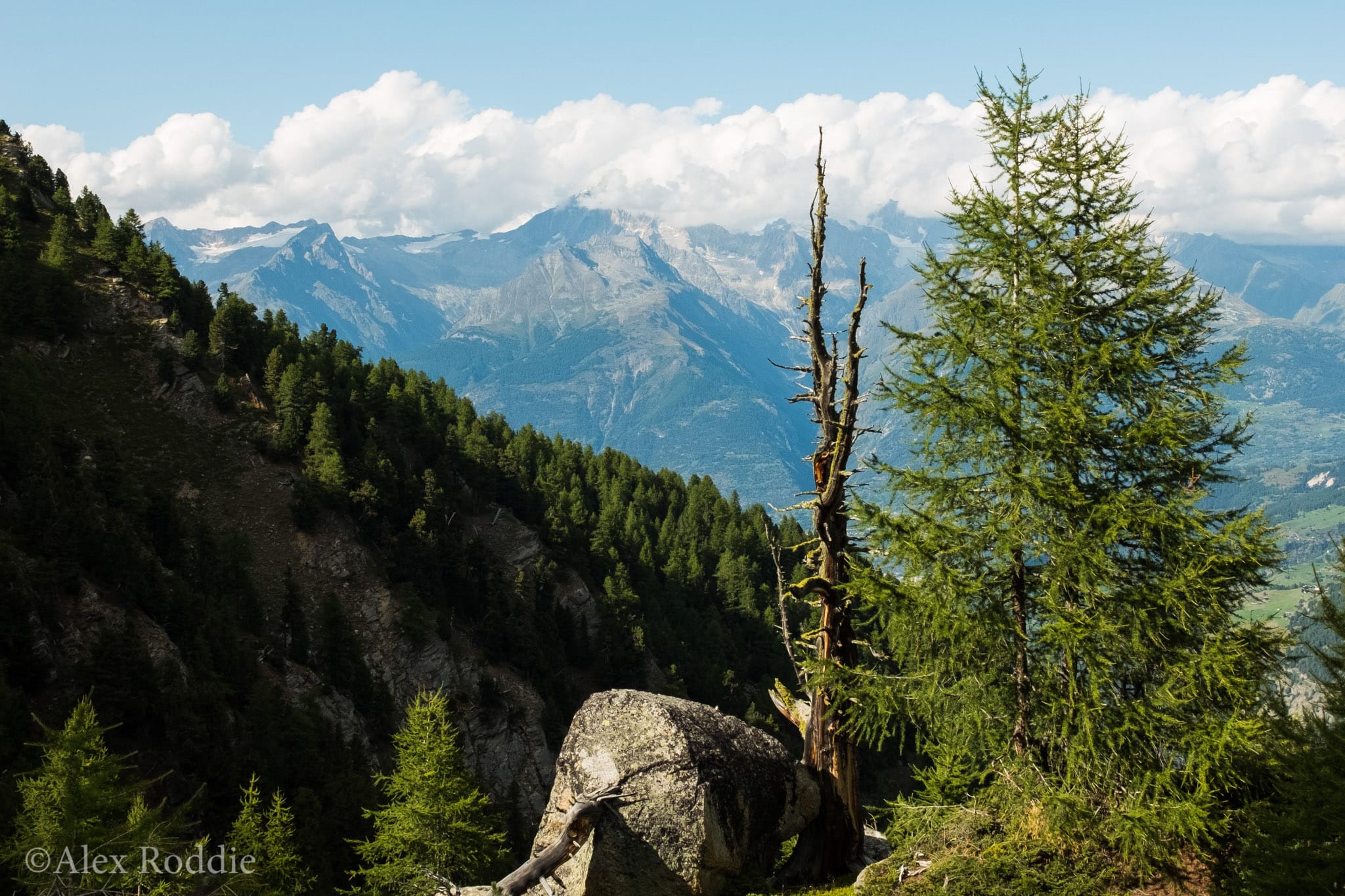 monte rosa tour