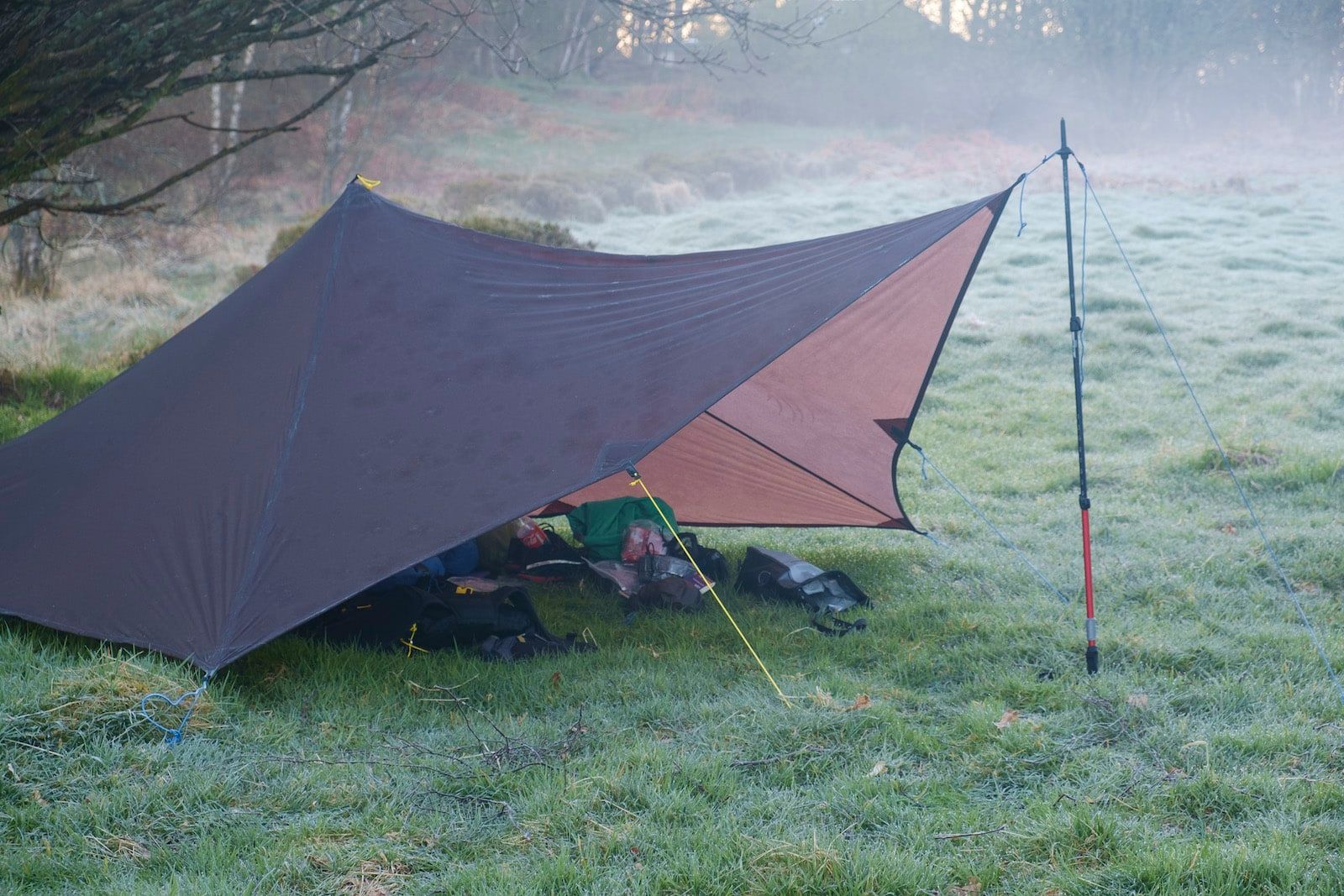 Dampness and condensation are facts of life in Scotland…