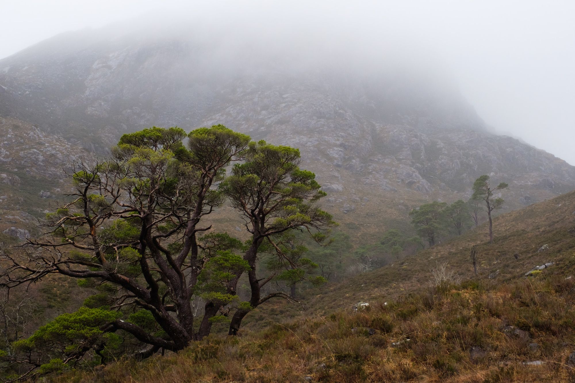 Torridon Cape Wrath Trail