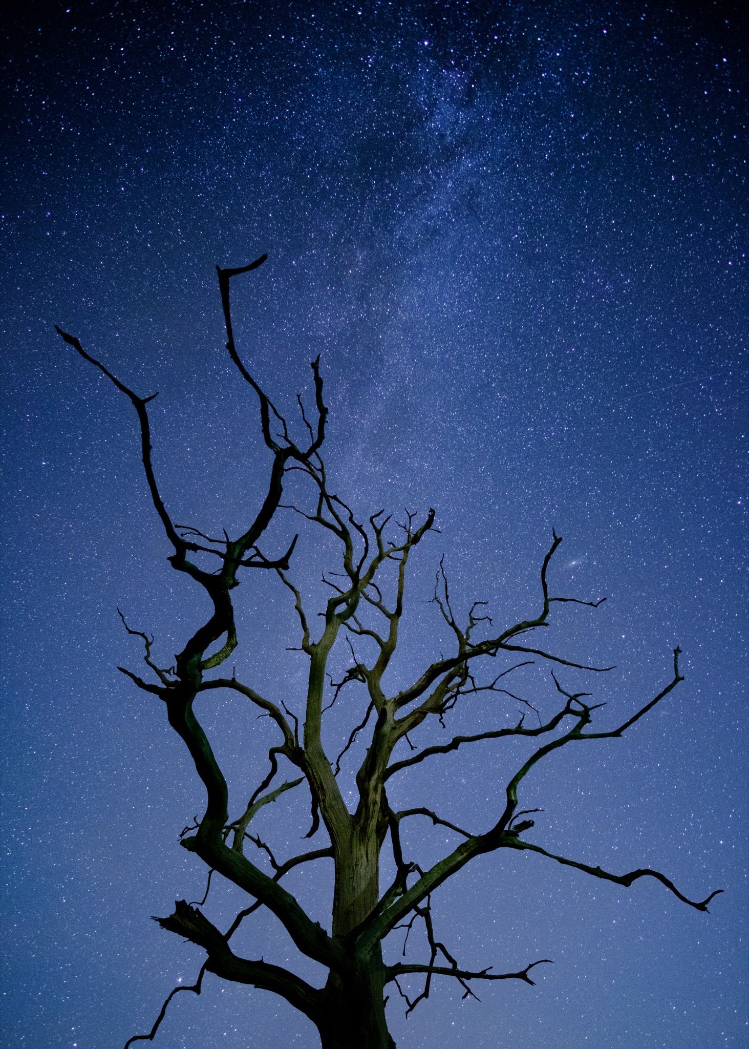 Samyang 12mm f/2 © Alex Roddie