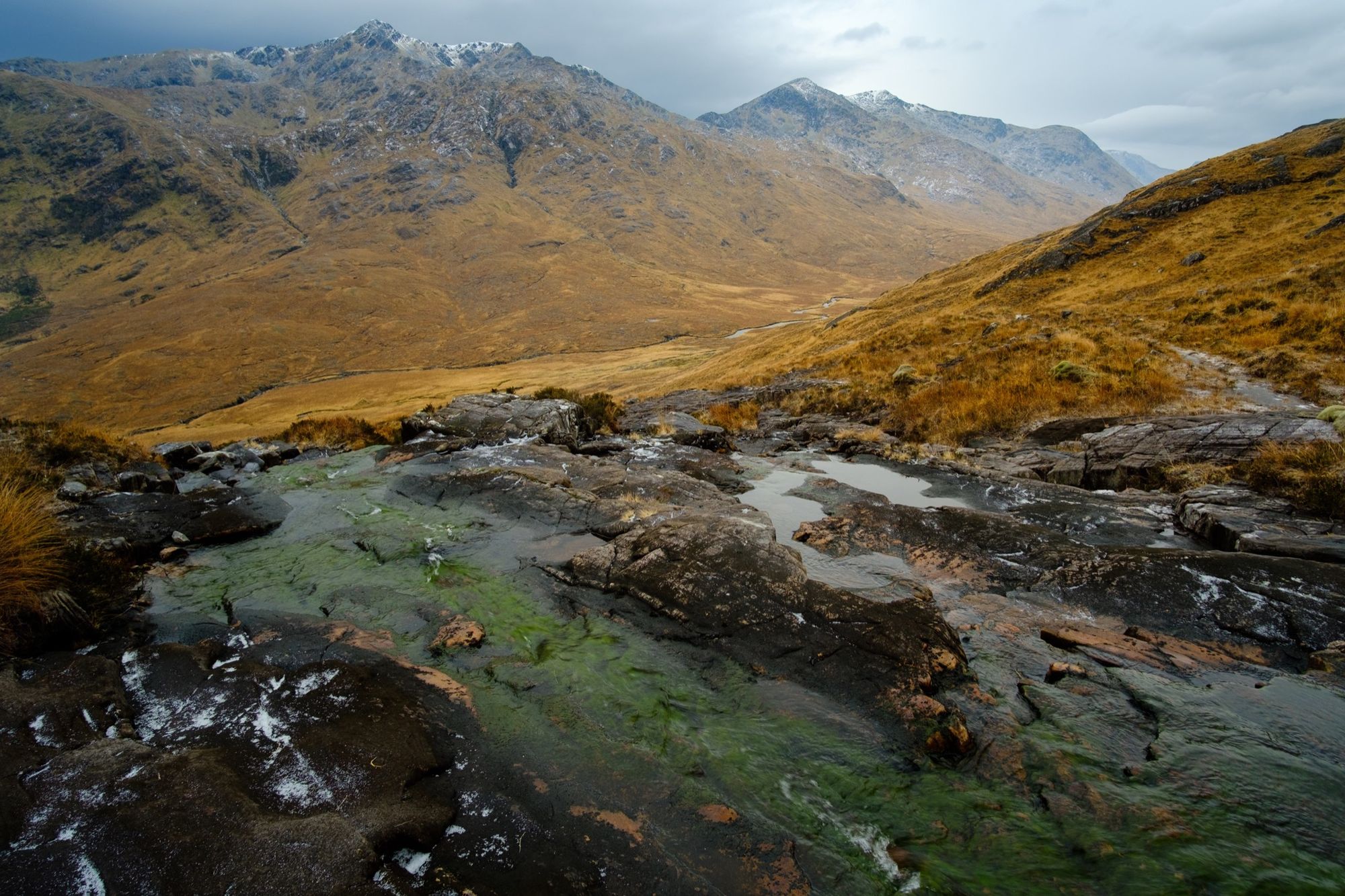 Samyang 12mm f/2 © Alex Roddie