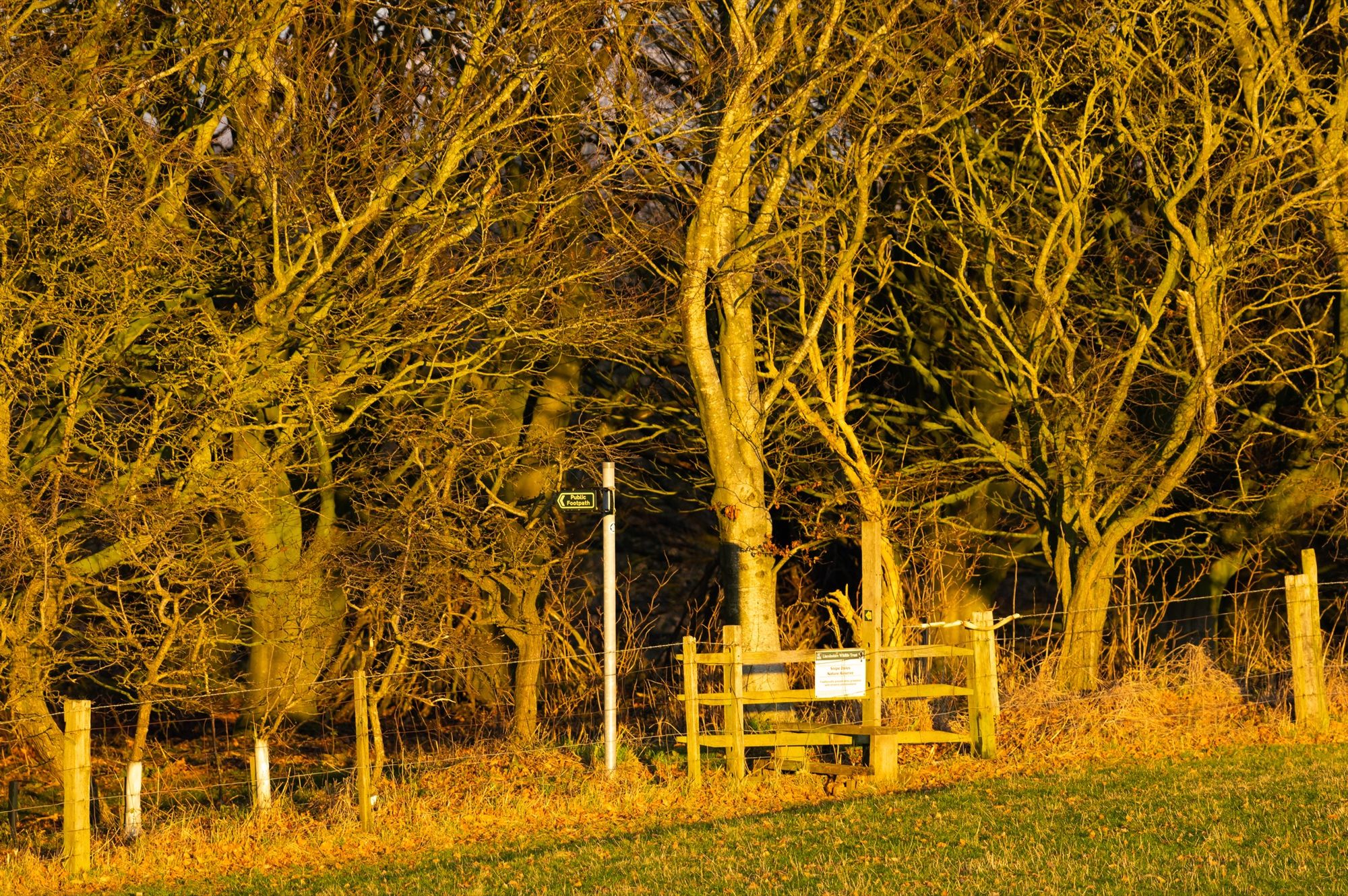 Entering Snipe Dales © Alex Roddie