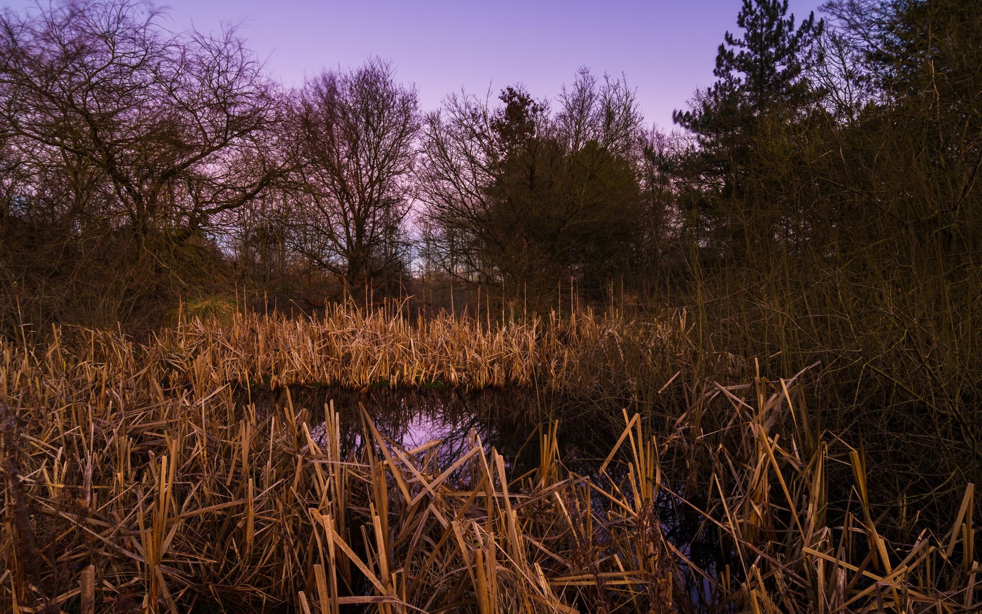 A few minutes after sunset © Alex Roddie