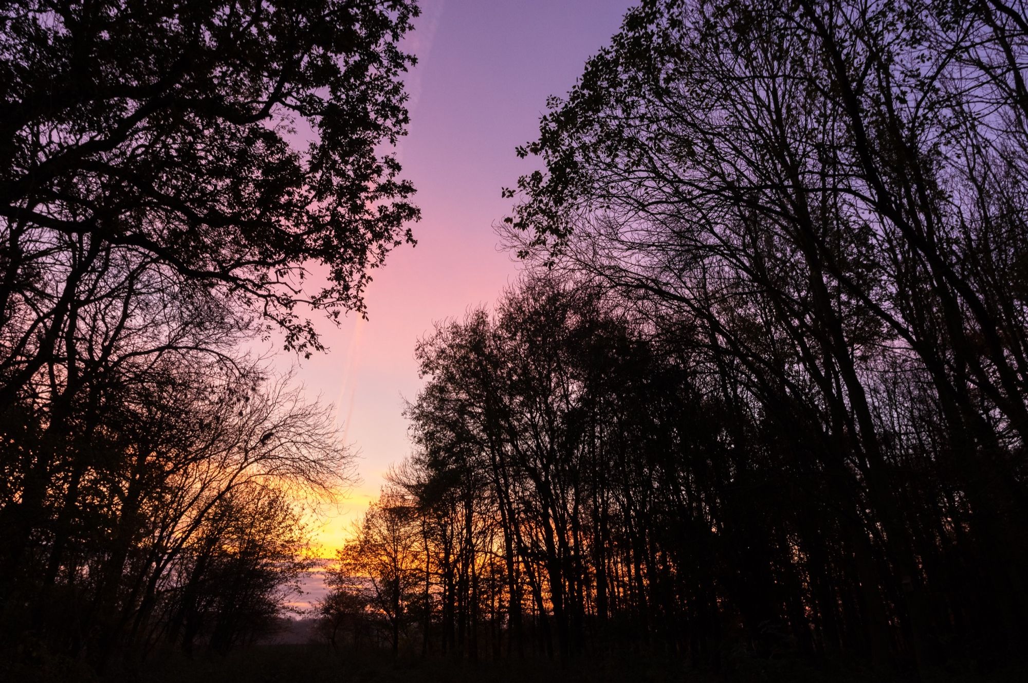 Gunby Park, Lincolnshire © Alex Roddie