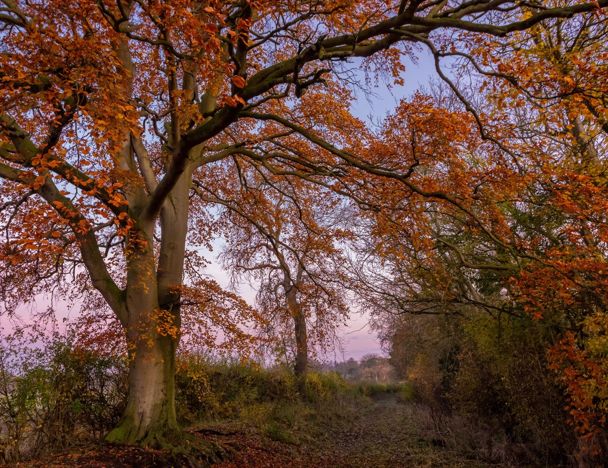 Gunby Park, Lincolnshire © Alex Roddie